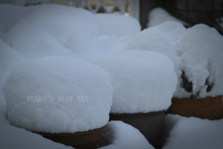 昨日の雪は・・と、Nicoにグルメセットが当たった~♪_c0145250_10562938.jpg