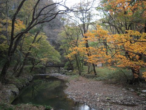 d0049152_2185487.jpg