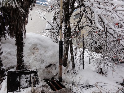 雪の中 井戸掃除 井戸洗浄_a0084753_16214161.jpg