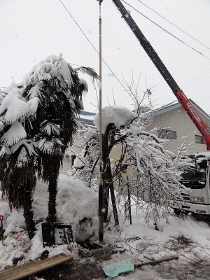 雪の中 井戸掃除 井戸洗浄_a0084753_16215098.jpg
