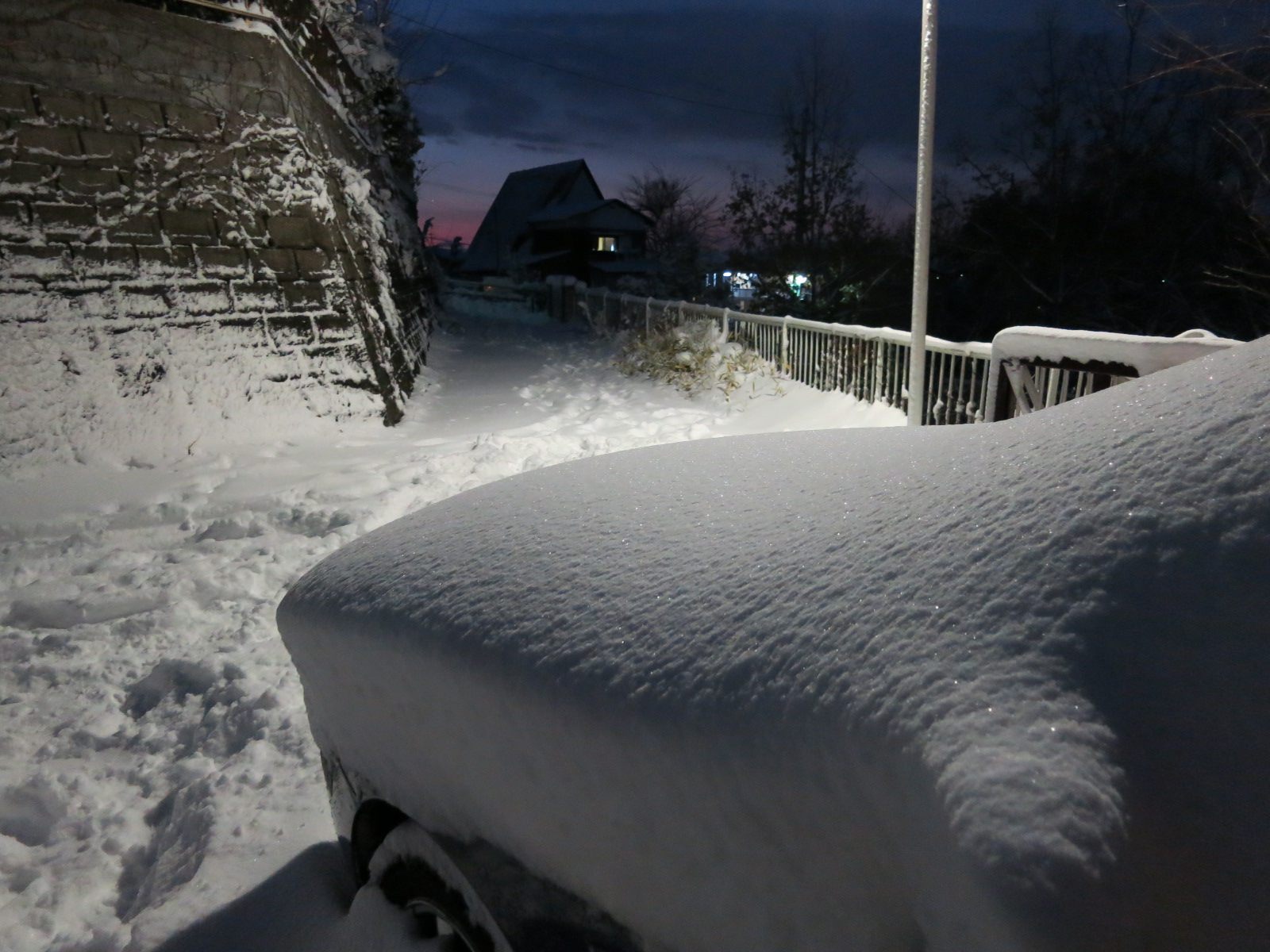 どか雪_c0260460_1556675.jpg