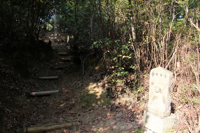 蓮華寺山登山　蓮華寺ルート　その3　第二十番石仏～第三十九番石仏_b0095061_9372595.jpg