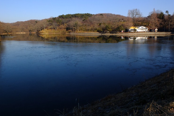 八丁湖のネコ Photograph