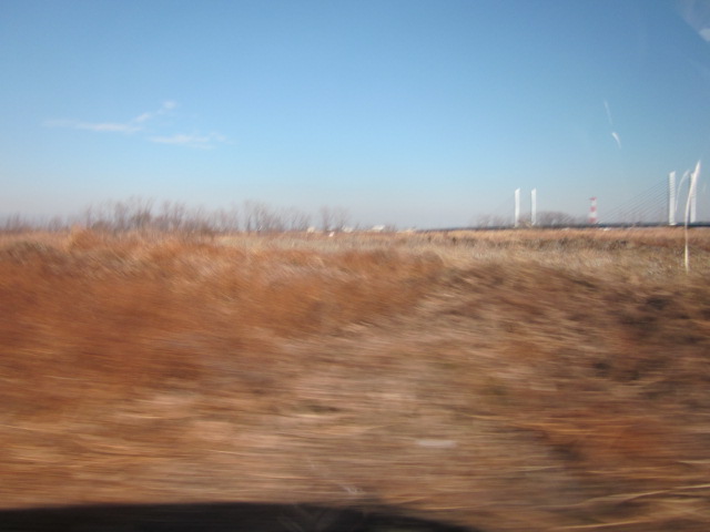 a0120264_16495729.jpg