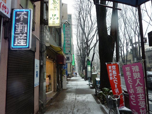 東京は大雪_a0189764_8573556.jpg