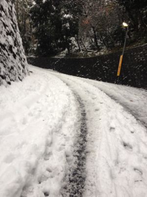 東京大雪☆ 桜新町 クレイルへ_c0151965_04729100.jpg