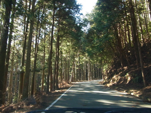 b0194267_20271254.jpg