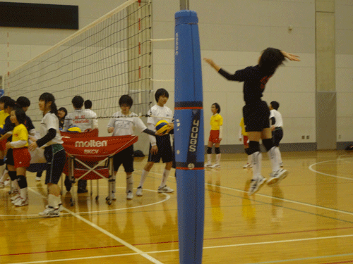 橋本_c0000970_11331273.gif
