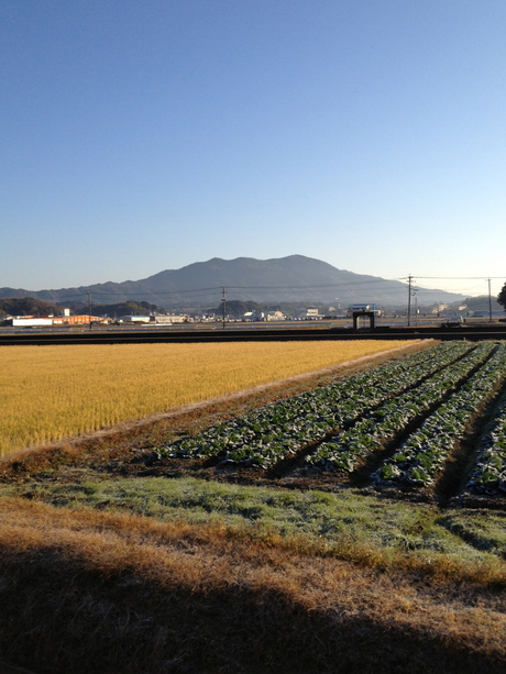 寒いっす!_a0077071_17135151.jpg