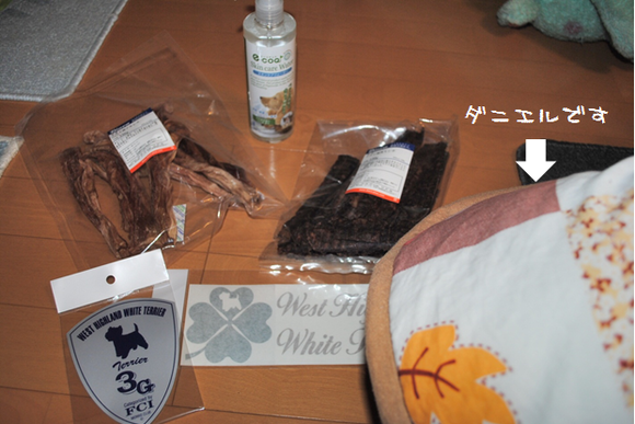 b0242873_182045.png