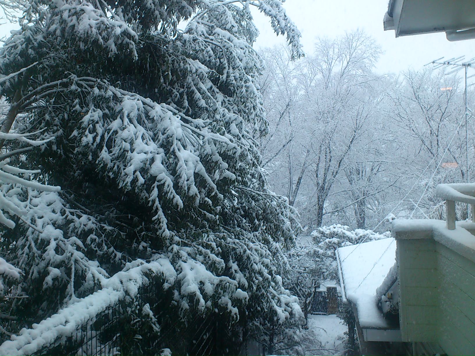 e0212073_0483511.jpg
