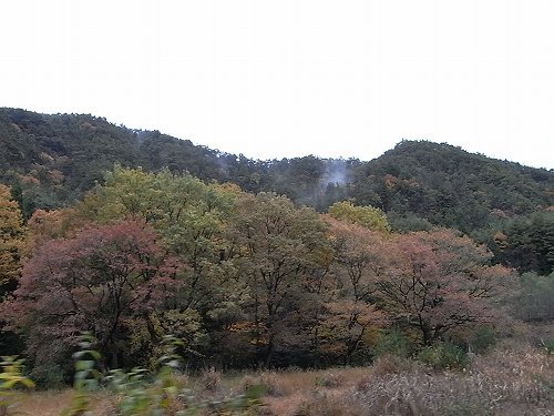 e0271874_12204264.jpg