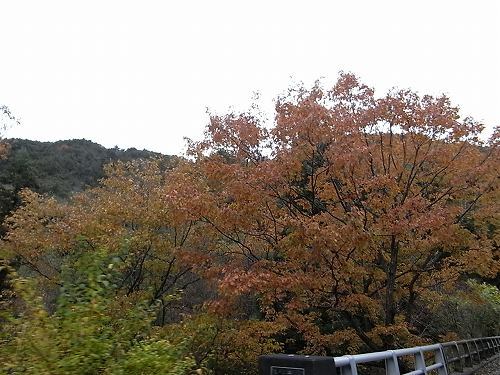e0271874_12204340.jpg