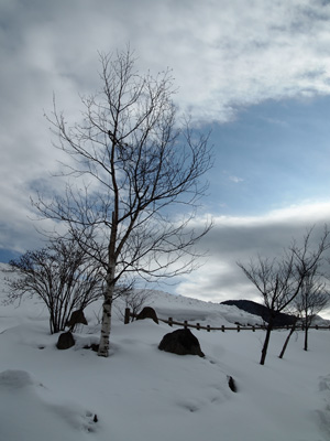 d0279976_1283481.jpg