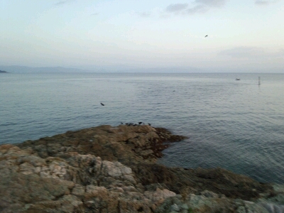 a0253077_854528.jpg