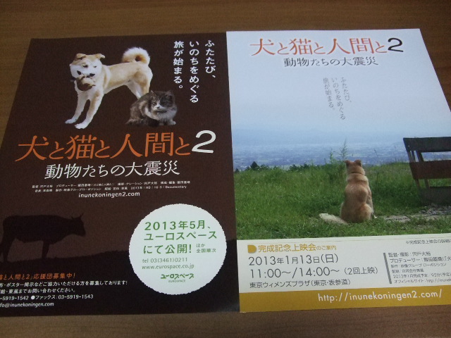 「犬と猫と人間と２　動物たちの大震災」完成記念上映会に行ってきました_d0183577_210516.jpg