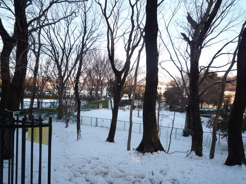 わが家の大雪の被害_e0232277_12018.jpg
