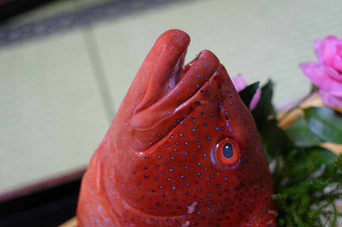 ウラNガタナイト_e0082981_23154440.jpg