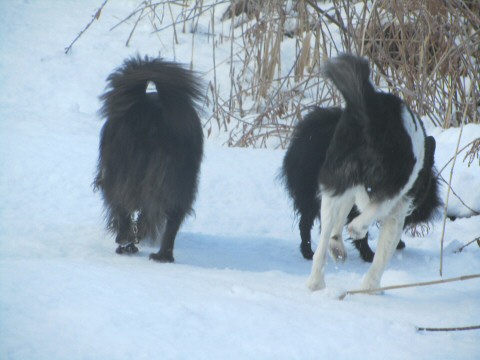 雪だ～♪♪_c0031288_9543043.jpg