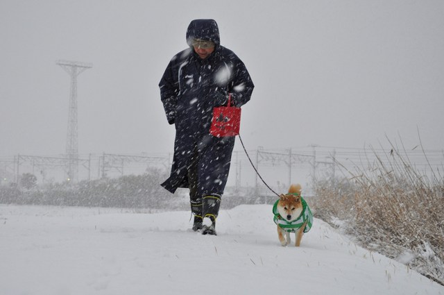 雪降りの後は・・・_a0126590_22563136.jpg