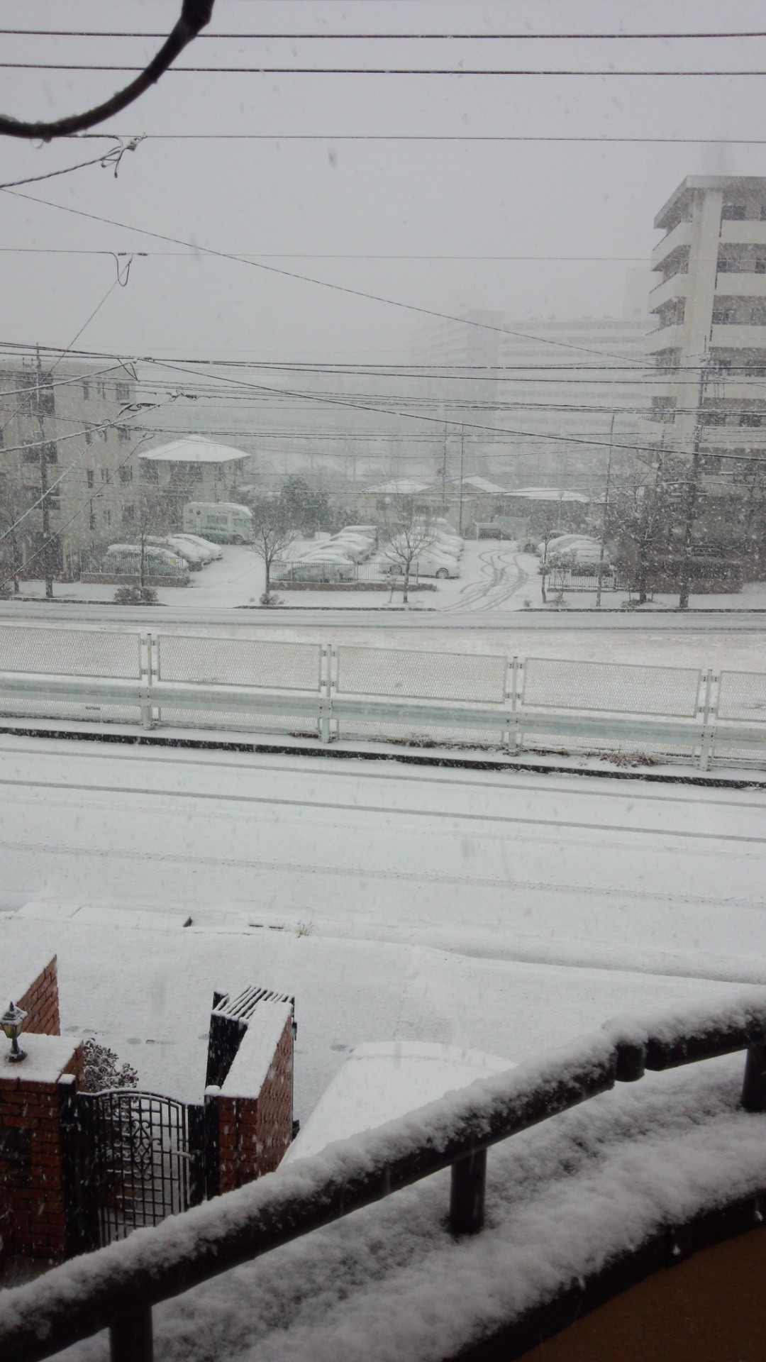 昨日は大雪の中、六本木スイートベイジルへ行きました。_e0119092_10575761.jpg