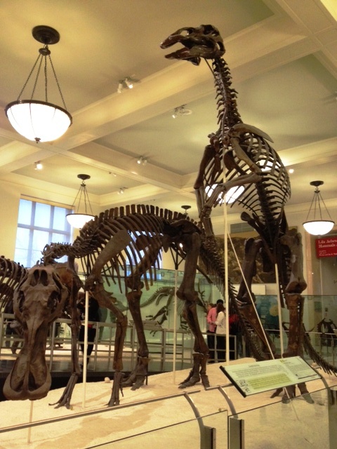 e0161692_1002299.jpg