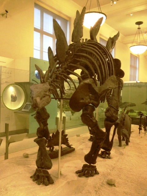 e0161692_9595075.jpg