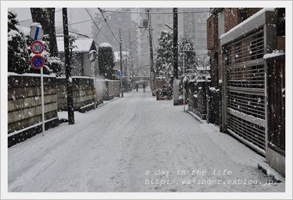 snow*_a0285393_1053968.jpg