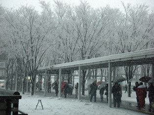 平成25年1月14日　成人の日　おめでとう♪_d0030894_1814253.jpg