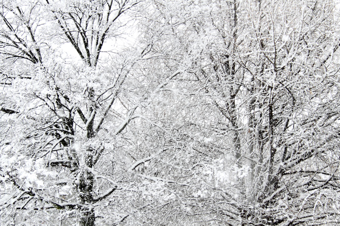 f0185802_22171656.jpg