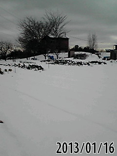 e0270403_14352055.jpg