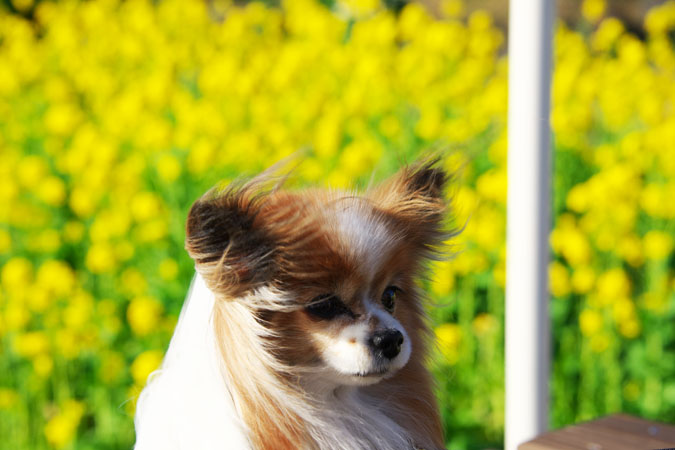 a0263109_14161258.jpg