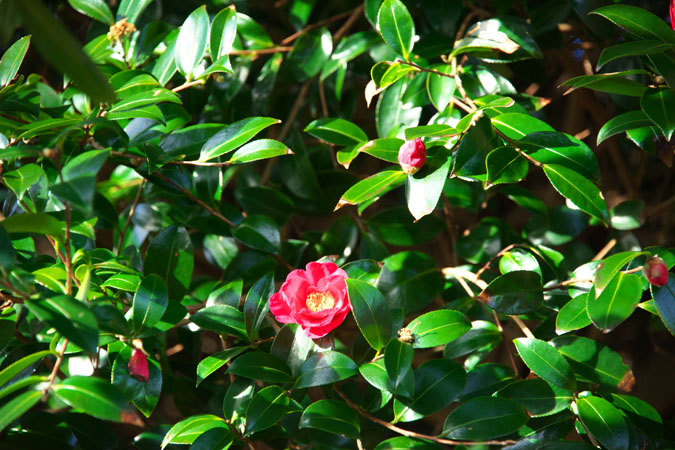 a0263109_14185553.jpg