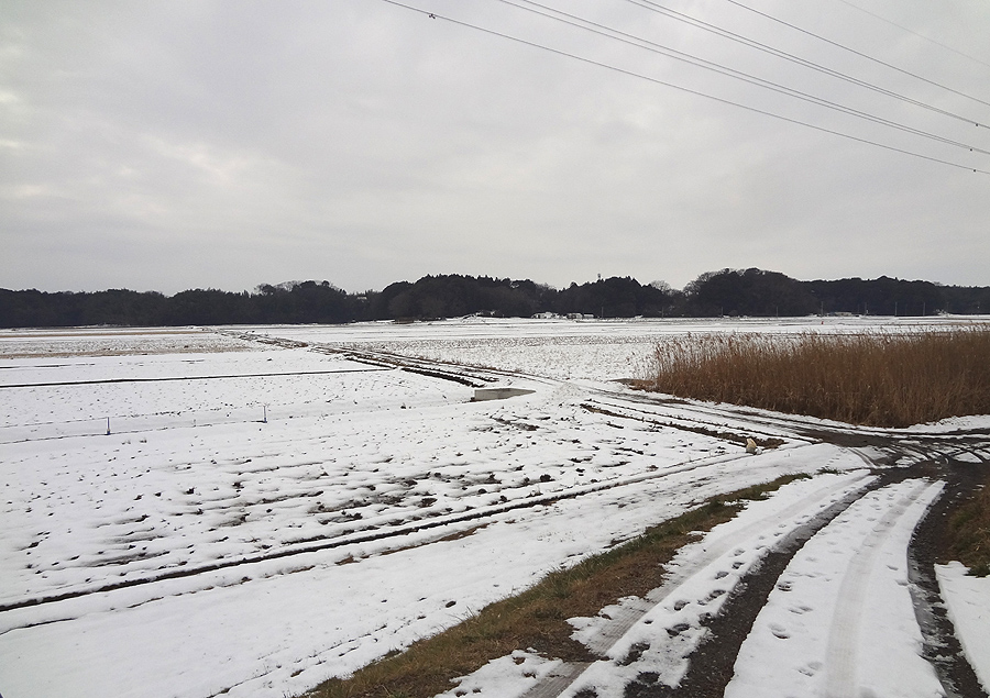 降雪後の散歩_d0151813_1502542.jpg