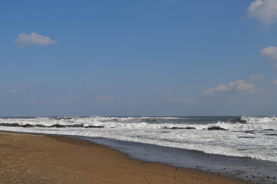 f0128018_0121390.jpg