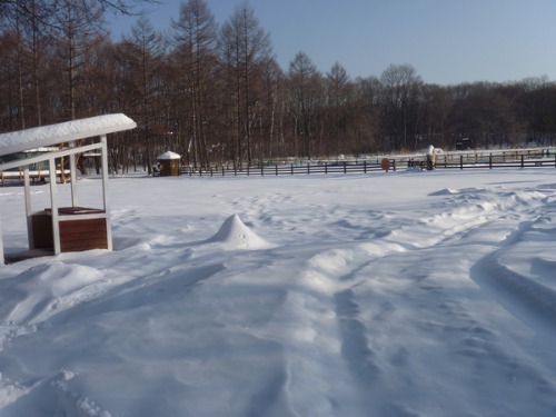 おとぎの国へ_b0174425_23362367.jpg