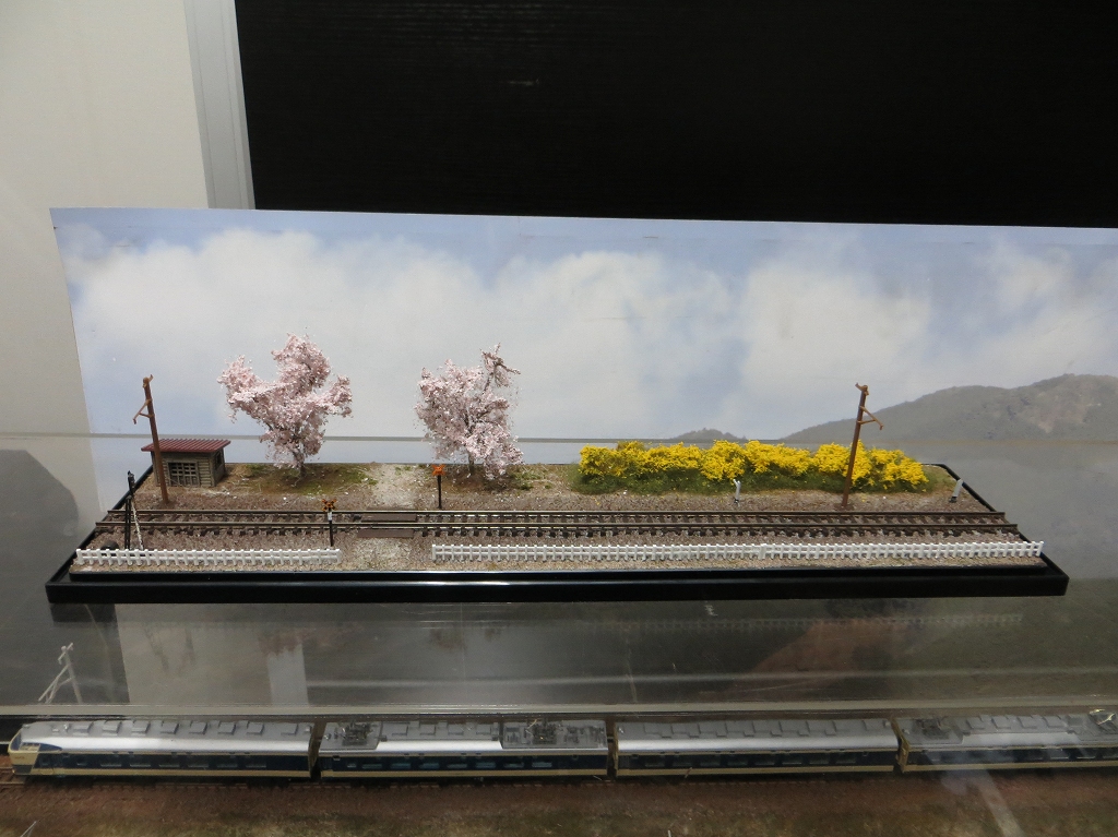 Nゲージジオラマ「満開の桜と菜の花咲くローカル線」修正しま Nゲージジオラマ「満開の桜と菜の花咲くローカル線」修正しま
