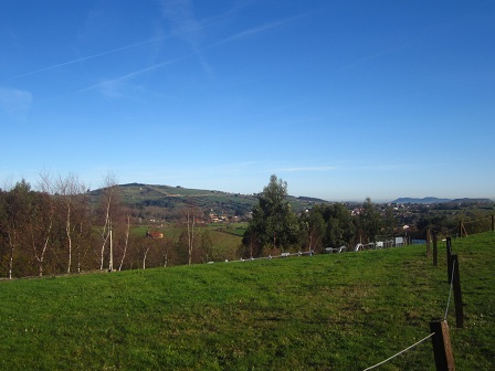 e0120938_66317.jpg
