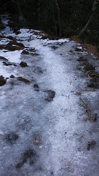 c0146040_1259338.jpg