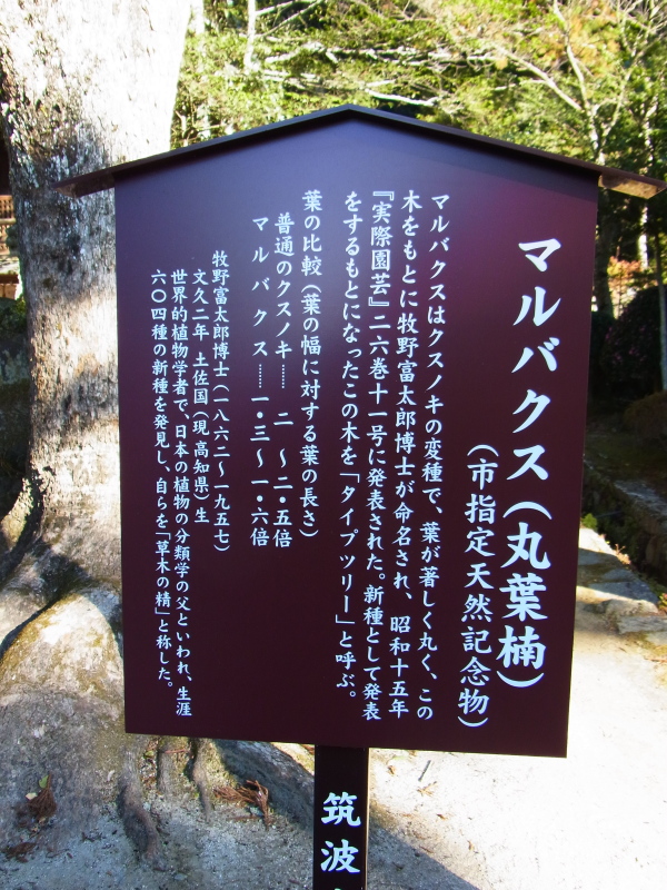 b0190242_22232915.jpg