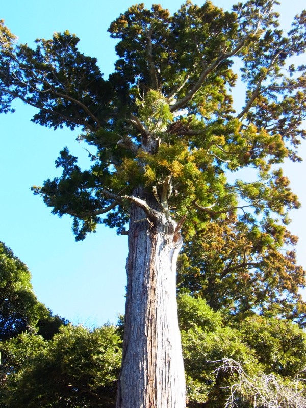 b0190242_2224124.jpg