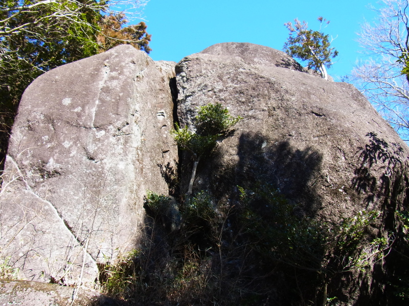b0190242_22272826.jpg