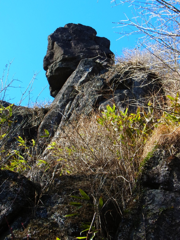 b0190242_2230439.jpg