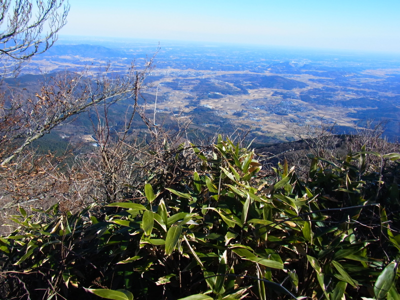 b0190242_2233269.jpg