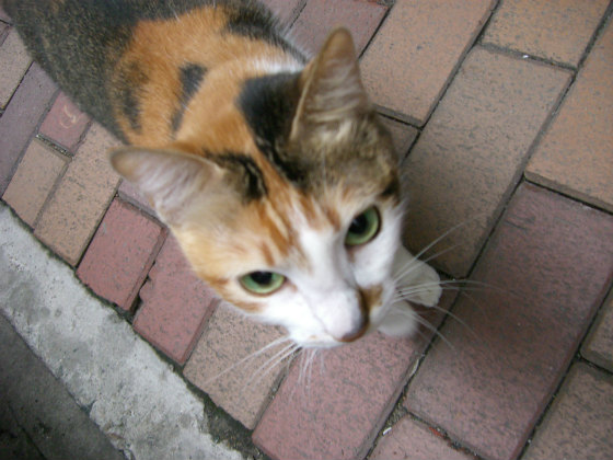 e0248743_795783.jpg