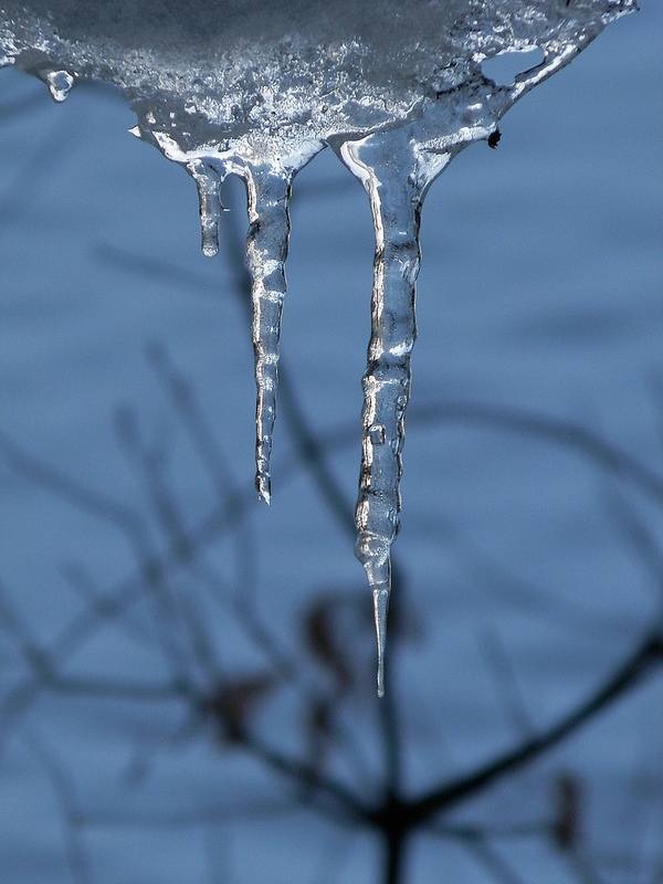 c0040244_16561346.jpg