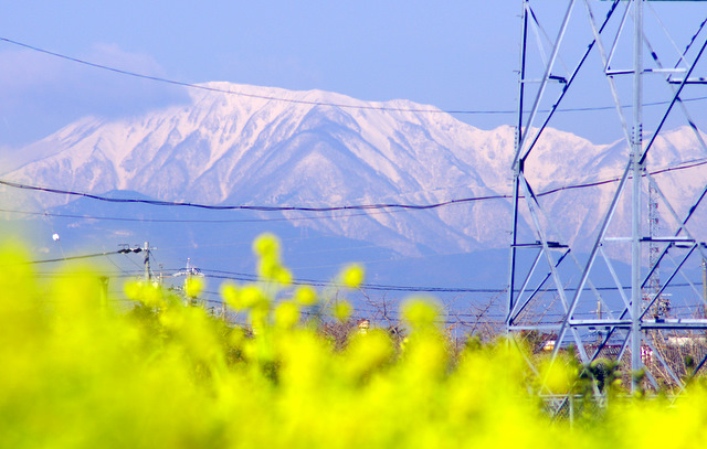 d0186245_14165010.jpg