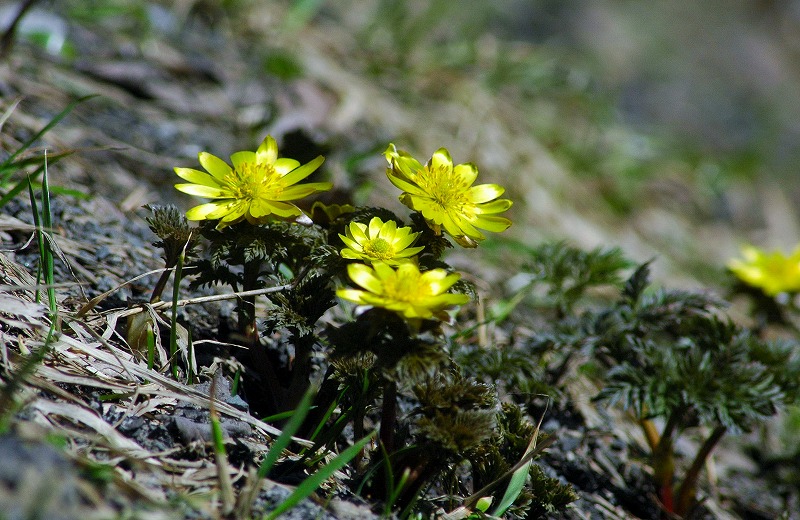 f0202445_2257142.jpg