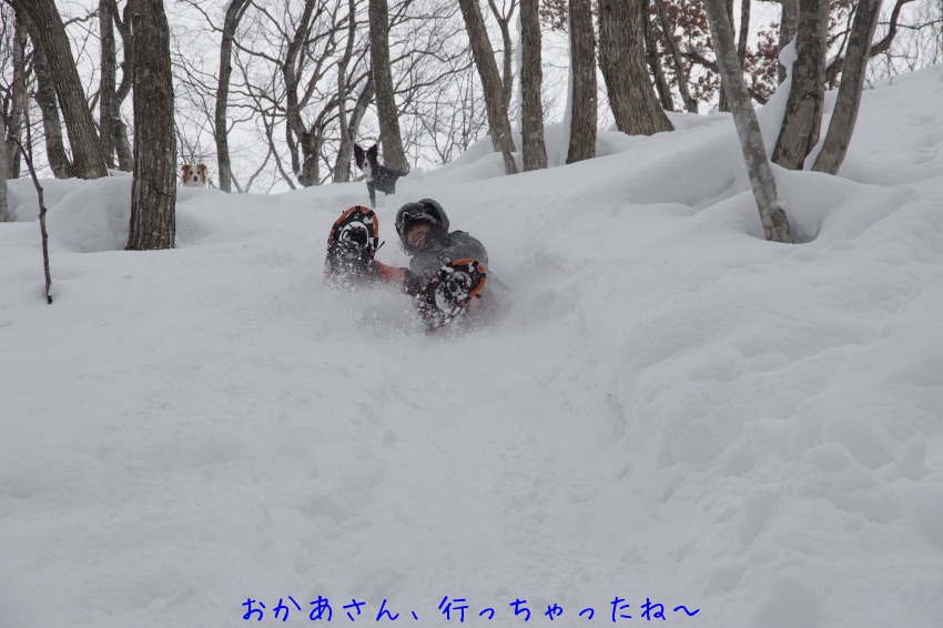 雪遊び　続編_b0268454_14354857.jpg