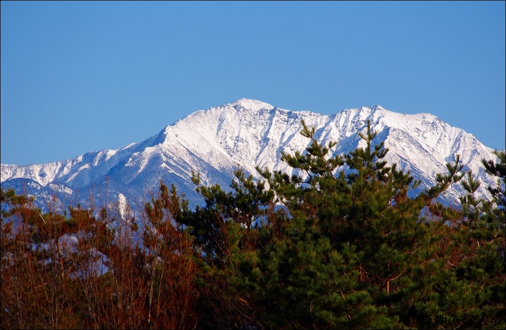 f0140054_1718696.jpg